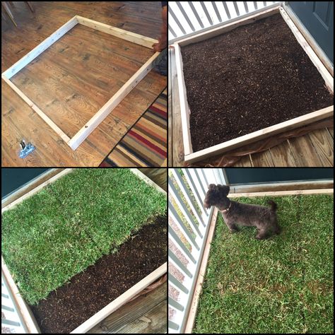 Dog Kennel Potty Area, Diy Dog Potty Area Apartments, Diy Potty Area For Dogs, Dog Balcony, Dog Potty Area Balcony, Balcony Potty Area For Dogs, Balcony Grass For Dogs, Apartment Patio Dog Potty, Dog Potty Area