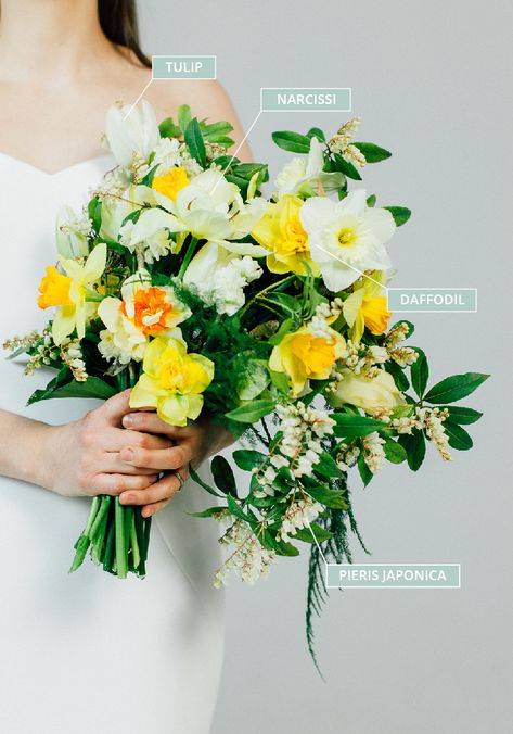 Tulip Wedding Flower Arrangements, Daffodil Bridal Bouquet, Bouquet With Daffodils, Daffodil Bouquet Wedding, Popular Wedding Flowers, Tulip Bridal Bouquet, Daffodil Wedding, Daffodil Bouquet, Pieris Japonica