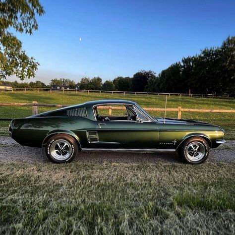 1967 Mustang Fastback, Vintage Mustang, 1967 Mustang, Old Vintage Cars, Classic Mustang, Mustang Fastback, Street Racing Cars, Pony Car, Mustang Cars