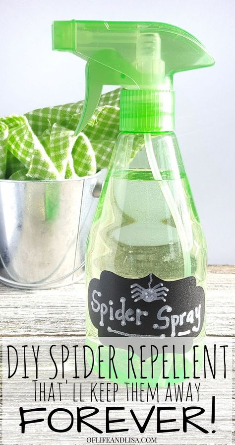 This spray works wonderfully to rid the home of spiders. Simply spay in the corners of your room, around your window sills and any cracks and crevices to keep spiders away! #home #cleaning #diy #essentialoils #natural Spider Spray Diy, Spiders Repellent Diy, Natural Spider Repellant, Spider Spray, Repellent Diy, Spiders Repellent, Diy Bug Spray, Bug Spray Recipe, Get Rid Of Spiders