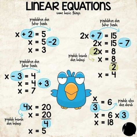 Analyze And Solve Systems Of Linear Equations Waldorf Math, Teaching Math Elementary, Envision Math, Solving Linear Equations, Teaching Math Strategies, Math Answers, Math Genius, Math Patterns, Learning Mathematics