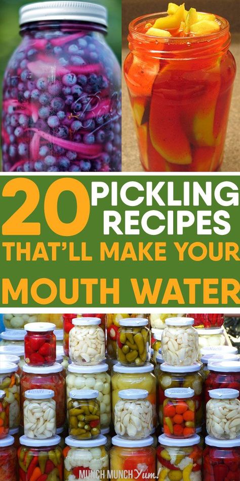 Unique homemade PICKLING RECIPES beyond the cucumber. Easy intro to canning with sweet and spicy appetizers like beets, onions, green beans, okra, carrots, zucchini, ginger and more. Perfect for salads, sandwiches or on their own. Stick them in your refrigerator or fridge to last longer. Give these recipes a try! Easy Vegetable Pickling Recipes, Refrigerator Pickled Veggies, Foods To Pickle, Beet Pickled Eggs Recipes, Asian Pickles Recipe, Pickled Salad Recipes, How To Make Pickled Vegetables, Drunken Pickles Recipe, Sweet Pickled Green Beans