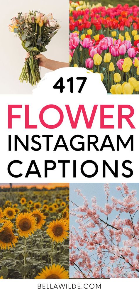 Read this post for the best flower captions for Instagram! --- aesthetic | bouquet of flowers | short captions | spring captions | summer captions | nature | flower photos Instagram Captions For Flowers Posts, Flower Post Captions, Flower Garden Captions For Instagram, Bouquet Of Flowers Quotes, Flower Ig Captions, Floral Instagram Captions, Wildflower Instagram Captions, Botanical Garden Captions, Flower Field Instagram Captions