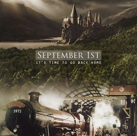 It's time to go back home. September 1st September Harry Potter, Back To Hogwarts, Dumbledore Quotes, Michael Gambon, 1st September, Flower Tattoo Back, September 1st, Hogwarts Express, Albus Dumbledore