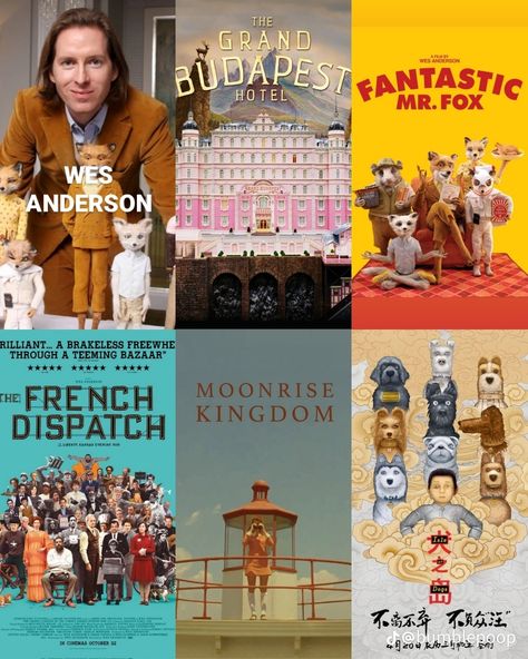 Film Recommendations, Wes Anderson Movies, Wes Anderson Films, Movie Nerd, Fantastic Mr Fox, Great Movies To Watch, I Love Cinema, Movie Covers, Movie Director