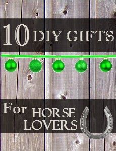 Top 10 DIY Gifts for Horse Lovers | Savvy Horsewoman Homemade Horse Treats, Diy Horse, Western Crafts, Horseshoe Crafts, Horse Treats, Horse Crafts, Equestrian Gifts, Horse Diy, Horse Crazy