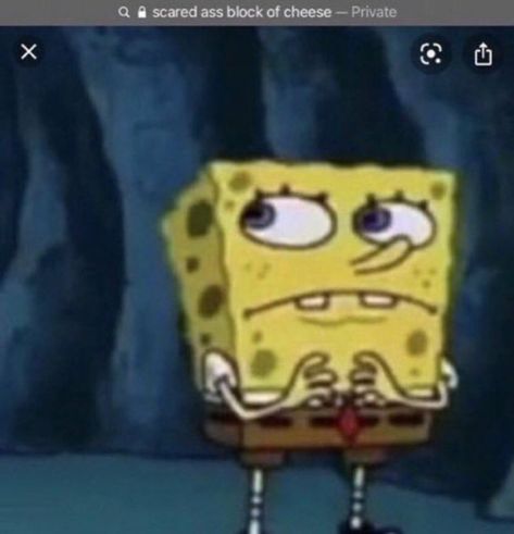 Scared Meme, Block Of Cheese, Spongebob Memes, Funny Profile, Funny Profile Pictures, Funny Reaction Pictures, Really Funny Pictures, What’s Going On, Funny Me