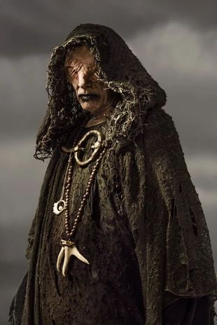 The Seer | Vikings Wiki | FANDOM powered by Wikia Ragnar Vikings, History Channel Vikings, Vikings Show, King Ragnar, Vikings Season, Viking Series, Vikings Tv Show, Vikings Tv Series, Vikings Ragnar