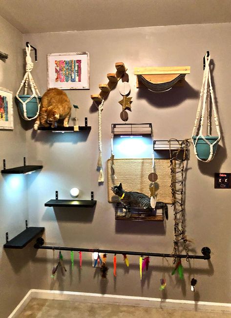 Homemade Cat Beds, Cat Bed Ideas, Cat Room Diy, Diy Cat Shelves, Diy Climbing Wall, Cat Room Decor, Cat Climbing Wall, Cat Area, Cat Bedroom