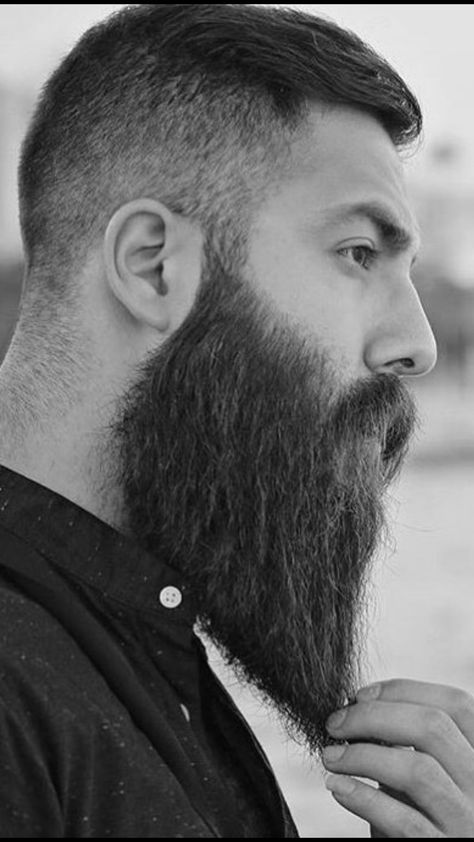 Beards And Mustaches, Beard And Mustache Styles, Beard Logo, Long Beard Styles, Beard Men, Beard Haircut, Thick Beard, Long Beard, Epic Beard