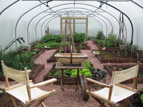 When it’s raining, there’s always the polytunnel | The Lint Mill Underground Greenhouse, Tunnel Greenhouse, Best Greenhouse, Outdoor Greenhouse, Build A Greenhouse, Indoor Greenhouse, Greenhouse Interiors, Greenhouse Ideas, Home Greenhouse