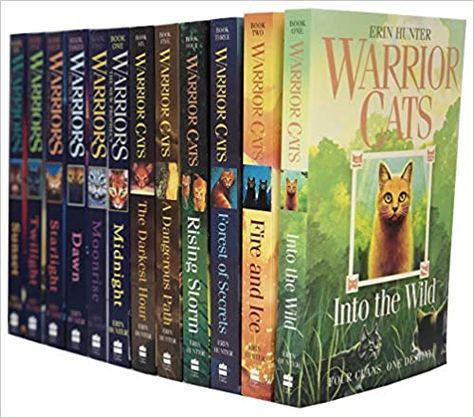 Ice Warriors, Secret Warriors, Warrior Cats Series, Warrior Cats Books, 12 Books, Secret Forest, Wild Fire, Books Collection, Cat Books