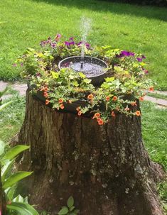 a lovely tree stump fountain Large Tree Stump Ideas Outdoor, Tree Stump Fountain, Tree Stump Garden, Tree Stump Ideas, Stump Garden, Stump Decor, Sloped Front Yard, Tree Stump Decor, Rustic Outdoor Spaces