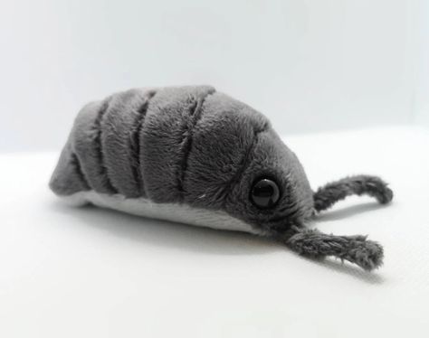 Isopod/woodlouse Plush Beanie Toy Collectable by Froogandboog - Etsy UK Isopod Plush, Small Beanie, Plastic Pellets, Small Collectibles, Love Bugs, Minky Fabric, Business Ideas, Toy Collection, Stuffed Animals