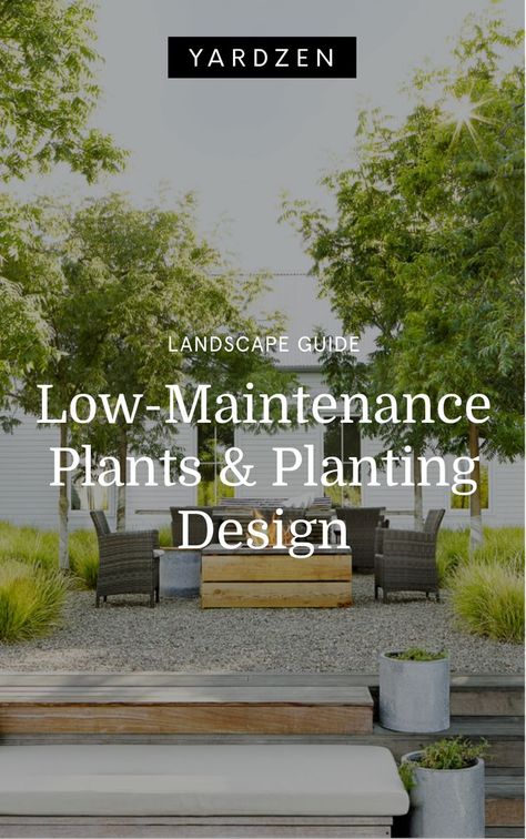 Yardzen clients live busy lives, so it’s no surprise that one of our top design requests is “low-maintenance plants.” In other words, plantings that look beautiful with little human intervention. This is one of the top reasons to work with a landscape designer— to craft a yard that appears thoughtful and well-considered. Yardzen’s Design Director, Kevin Lenhart, shares the guiding principles of low-maintenance softscape design. Simple Low Maintenance Landscaping, Low Maintenance Backyard Landscaping Designs, Yardzen Backyard, Low Maintenance Backyard Landscaping, Softscape Design, Low Maintenance Backyard, Low Maintenance Yard, Online Landscape Design, Guiding Principles