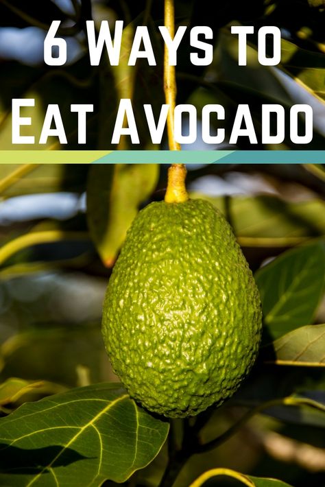 Best Way To Eat Avocado, Ways To Eat Avocado Snacks, How To Eat Avocado, Ways To Eat Avocado, Onion Benefits, Raw Food Diet Plan, Avocado Recipes Healthy, Avocado Benefits, Organic Agriculture