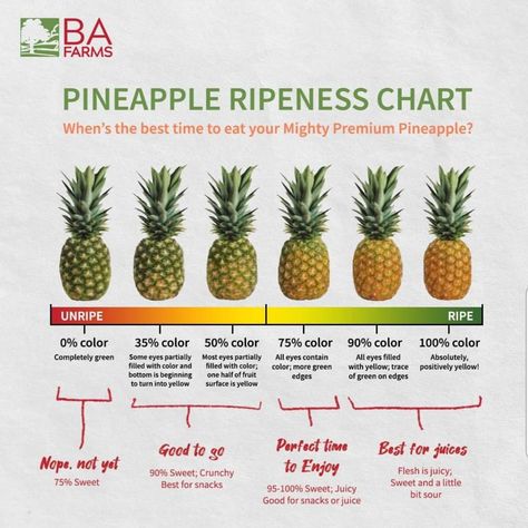 How To Pick The Best Fruit, How To Pick Pineapple, How To Tell If A Pineapple Is Ripe, Fruit Ripeness Chart, How To Pick A Pineapple, Pineapple Ripeness, Pineapple Facts, Chef Kitchens, Food Saver Hacks