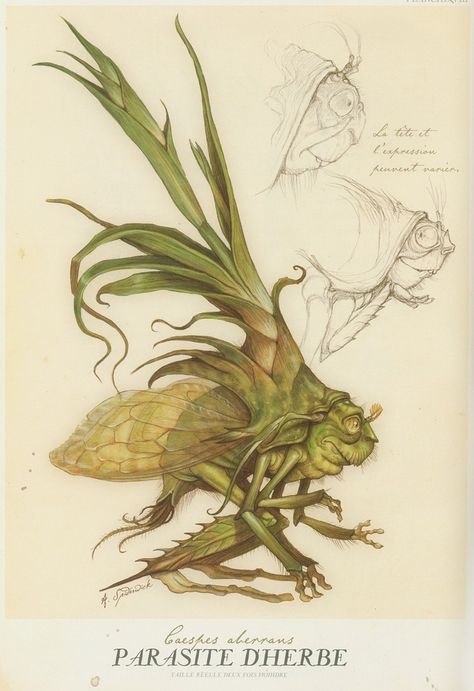 The Spiderwick Chronicles - Parasite Dherbe Tony Diterlizzi, Spiderwick Chronicles, Creature Fantasy, Forest Creatures, Creature Feature, Mythical Creatures Art, Mythological Creatures, Mystical Creatures, Arte Fantasy