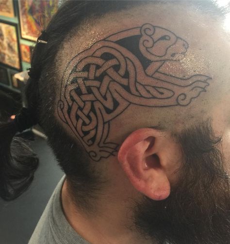 Photo by (katylynn96) on Instagram |  #celtic, #bear, #tattoo, #inked Celtic Head Tattoo, Celtic Bear Tattoo, Viking Bear Tattoo, Celtic Bear, Norse Art, Viking Bear, Scale Tattoo, Head Tattoo, Bear Tattoo