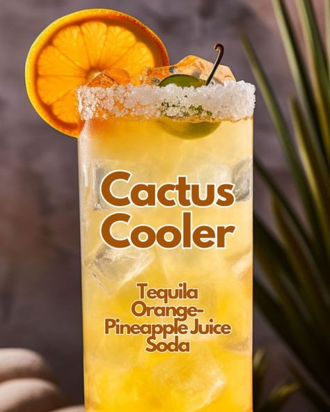 MyBartender.com | Cocktail Recipes + Tips | The Cactus Cooler is a delightful mix of fruity and zesty flavors. You’ll enjoy the sweet combination of orange and pineapple, perfectly… | Instagram Cactus Cooler, Classic Cocktail Recipes, Lazy Afternoon, Backyard Bar, Classic Cocktail, The Sweet, Cocktail Recipes, Food Hacks, Tequila