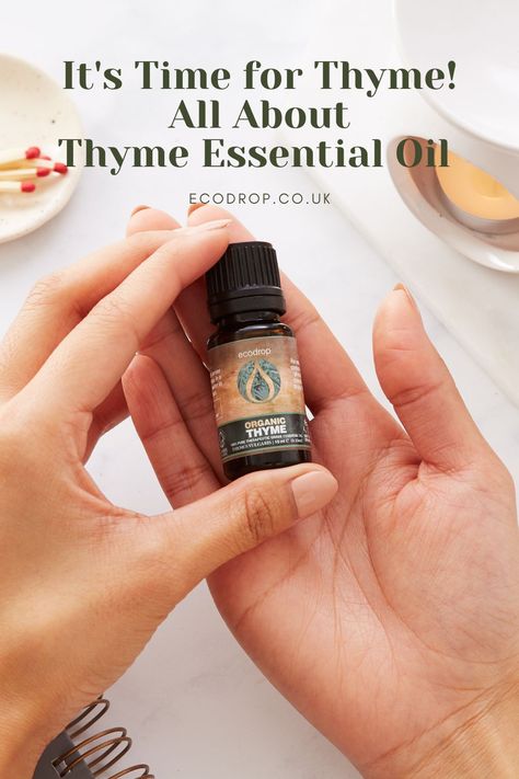 Thyme essential oil can be used for a variety of ailments. It is anti-inflammatory, antispasmodic, antibacterial, antiseptic, and anti-microbial. From digestive disorders to respiratory aid, oral health and anti-acne solutions, thyme essential oil is versatile and multipurpose. Check out our blog-post to learn all about it! We've also included 2 of our favourite blends using thyme. A homemade DIY cleaner to disinfect your counters, and a diffuser blend for wellness. Thyme Essential Oil Benefits, Thyme Essential Oil Uses, Benefits Of Thyme, Health Benefits Of Thyme, Essential Oil Roller Blends, Oil Roller Blends, Diy Cleaner, Essential Oils Uses, Thyme Essential Oil