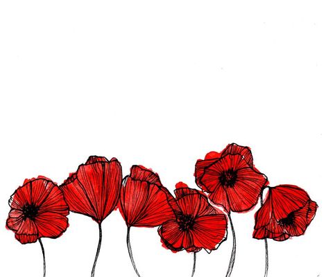 Poppy Line Art, Poppy Flower Illustration, Red Poppy Tattoo, Poppy Flower Drawing, Poppy Flower Art, Red Poppy Painting, Poppy Flower Painting, Remembrance Day Art, Design Garden Ideas