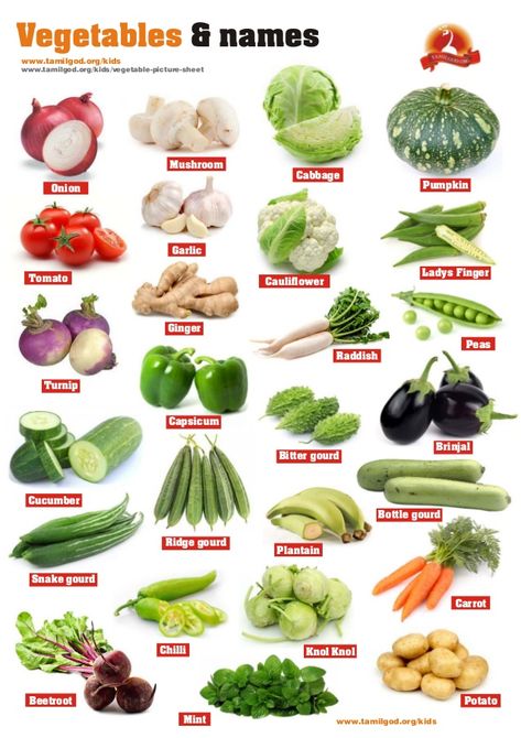 Vegetables Names With Pictures, Fruits And Vegetables List, Name Of Vegetables, Vegetable Chart, Vegetable Pictures, Kids Vegetables, Fruit Names, List Of Vegetables, Food Vocabulary