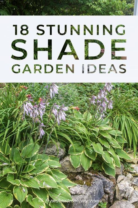 Garden Design Shaded Area, Shade Garden Design Layout, Shade Garden Ideas, Backyard Hacks, Garden Front Of House, Shade Landscaping, Low Growing Shrubs, Shade Garden Design, Shade Gardening