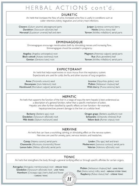 Herbal Medicine Study Notes, Herbal Antihistamine, Herbal Actions, Herbal Clinic, Herbal Preparations, Medicine Garden, Herbal Academy, Herbal Education, Student Dashboard