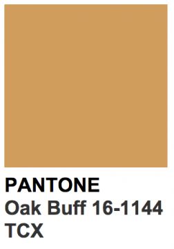 pantone marron clair Oxblood Red, Color Me, Paint Colors, Design Inspiration, Branding, Red, Color, Design, Paint Colours