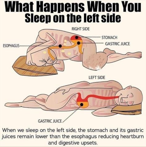 Sleep On Left Side, Whole30 Diet, Gastric Juice, Resep Diet, Recipes Diet, Health And Fitness Articles, Medical Knowledge, When You Sleep, Health Knowledge