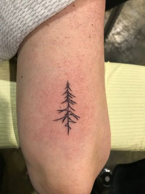 Single Line Pine Tree Tattoo, Minimalist Fine Line Tattoo Ideas, Ornamental Tree Tattoo, 3 Lines Tattoo, Fine Line Pine Tree Tattoo, Simple Pine Tree Tattoo, Line Tree Tattoo, Fine Line Nature Tattoo, Minimalist Tree Tattoo