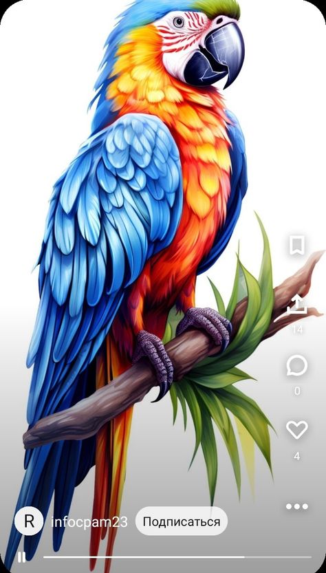 Unique Tattoo Sketches, Parrot Tattoos, Macaw Art, Parrot Tattoo, Macaw Bird, Hyacinth Macaw, Parrot Drawing, Parrot Painting, Parrots Art