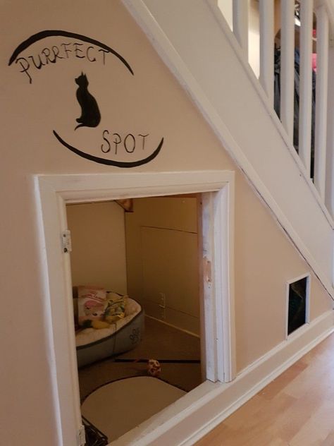 Cat House Under The Stairs, Under Stair Cat House, Cat Nook Under Stairs, Cat Cupboard Under Stairs, Understairs Cat Area, Cat Closet Ideas Under Stairs, Cat Under Stairs, Cat Closet Under Stairs, Cat Area Under Stairs