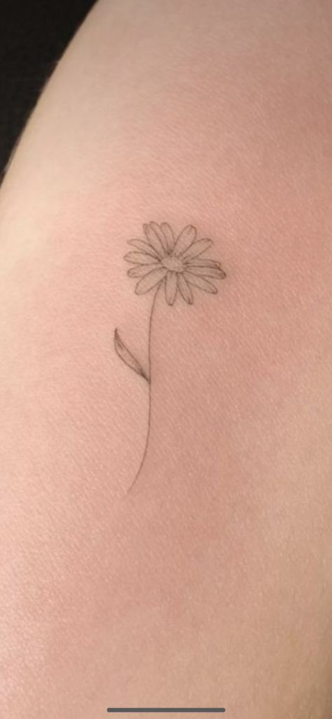 Dainty Aster Flower Tattoo, Daisy Dainty Tattoo, Dog Daisy Tattoo, Simple Aster Tattoo, Marguerite Daisy Tattoo, Line Work Daisy Tattoo, Transvaal Daisy Tattoo, Daisy With Stem Tattoo, Aster Fine Line Tattoo