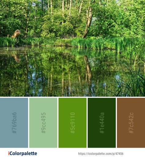 51 Bayou Color Palette ideas in 2021 | iColorpalette Jungle Theme Color Palette, Forest Pallet Color Schemes, Pond Color Palette, Rain Forest Color Palette, Spring Forest Color Palette, Nature Color Scheme, Woodland Color Palette, Jungle Color Palette, Rainforest Palette