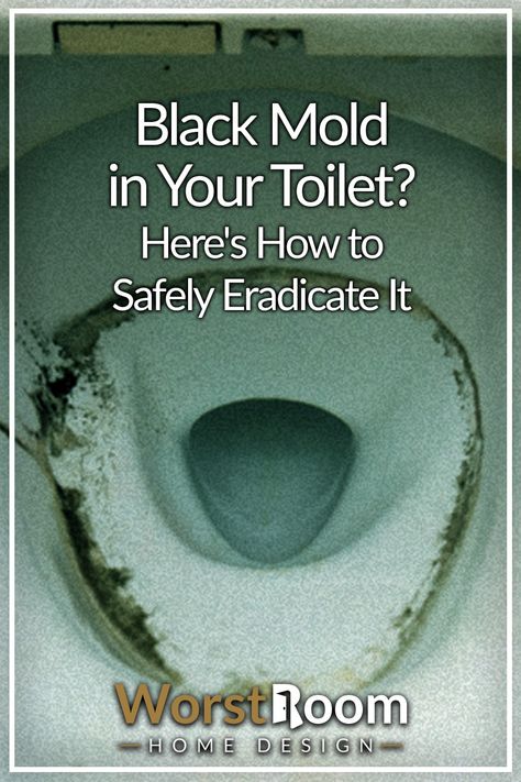 Black Mold in Your Toilet? Here's How to Safely Eradicate It Vinegar In Toilet Tank, Toilet Ring Remover, Kill Black Mold, Best Toilet Bowl Cleaner, Clean Black Mold, Toilet Bowl Ring, Remove Black Mold, Toilet Bowl Stains, Toilet Cleaning Hacks