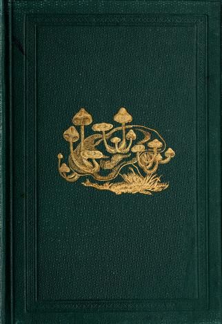 British fungi (hymenomycetes) : Stevenson, John, d. 1893 : Free Download, Borrow, and Streaming : Internet Archive Vintage Book Cover Wallpaper, Book Cover Wallpaper, Old Book Cover, Goodnotes Covers, Book Cover Art Design, Diary Cover, Old Book Covers, Vintage Book Cover, Diary Covers