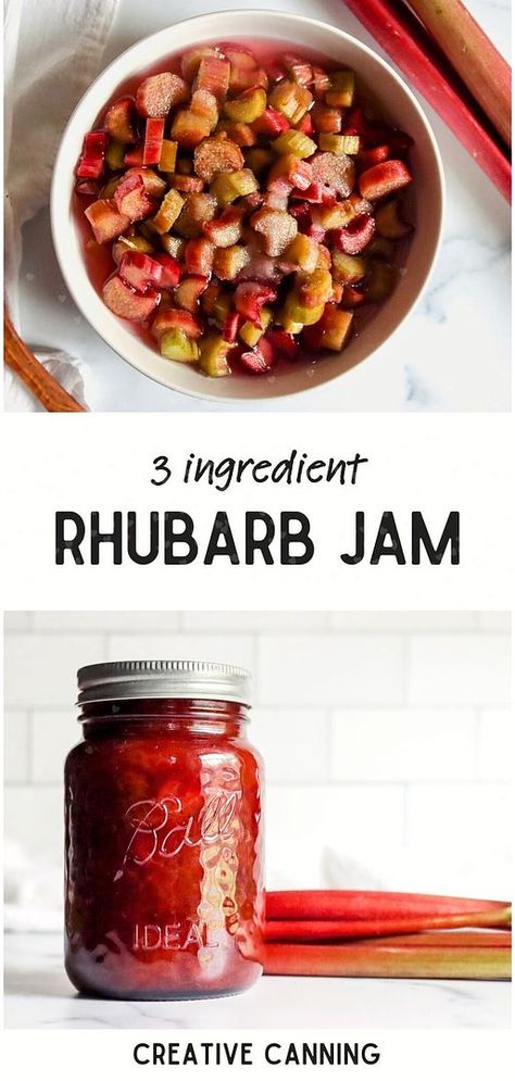 Simplify your preserves with our 3 Ingredient Rhubarb Jam recipe, a highlight of homemade jam recipes for canning. No pectin needed, just rhubarb, sugar, and water for a delicious spread. Perfect for beginners and seasoned canners. Discover more canning fruit recipes, rhubarb canning recipes, and no pectin jam recipes at creativecanning.com. Rhubarb Jam Recipes Canning, Rhubarb Canning Recipes, Jam Recipes For Canning, Raspberry Jam No Pectin, Homemade Jam Recipes, Raspberry Rhubarb Jam, Canning Fruit Recipes, Grape Jam Recipe, Recipes Rhubarb