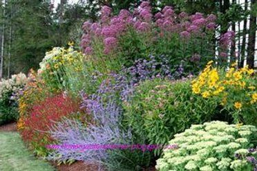 Picture of Come Spring,  a Perfect Perennial Flower Garden Garden Plans Layout Perennial, Garden Plans Layout, Perennial Garden Design, Flower Garden Layouts, Perennial Garden Plans, Perennial Gardens, Garden Flowers Perennials, Backyard Garden Layout, Vegetable Garden Planning