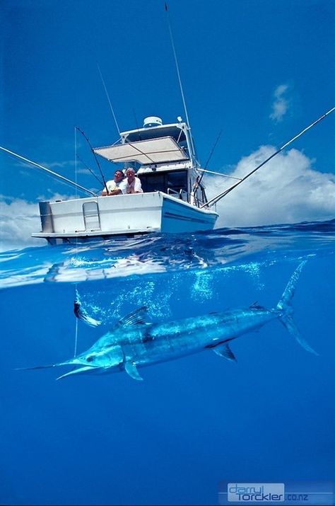 Convertible Fishing Boat, Deep Sea Fishing Boats, Offshore Fishing Boats, Ocean Craft, Marlin Fishing, Game Fishing, Sport Fishing Boats, Big Game Fishing, Fishing Photography