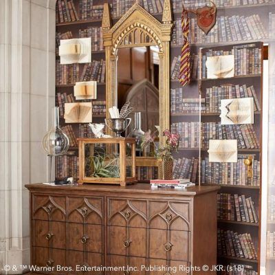 Harry Potter Great Hall Bedroom Dresser Hall Dresser, Awesome Mirrors, Harry Potter Mirror, Enchanted Library, Hp Fanfiction, Fanfiction Recommendations, Mirror Of Erised, Dark Academia Room, Geek Room