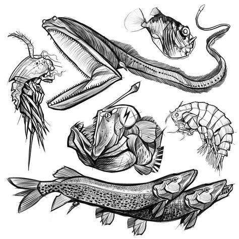 o k a n a k g ö l on Instagram: “Creepy deep sea community, some more #wannado sketches find me this week in Paris @mystery_tattoo_club Si vous voulez une piece, contactez…” Deep Sea Fish Tattoo, Deep Sea Creatures Tattoo, Deep Sea Tattoo, Sea Monster Tattoo, Sea Creature Tattoo, Mystery Tattoo, Tattoo Sea, Second Tattoo, Monster Tattoo