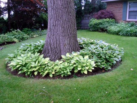 15 Beautiful Ideas For Decorating The Landscape Around The Trees Narrow Landscaping Ideas Side Garden, Patio And Lawn Ideas, Large Yard Landscaping, Mailbox Landscaping, Landscaping Around Trees, Backyard Trees, Small Front Yard Landscaping, Yard Landscape, Tree Landscape