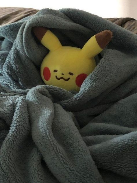 Pokemon Plushie Pfp, Pikachu Plush Pfp, Plushie Wallpaper Aesthetic, Pokemon Plush Pfp, Pokemon Plushies Aesthetic, Plushie Wallpaper, Aesthetic Pokemon, Plush Aesthetic, Worst Day Of My Life