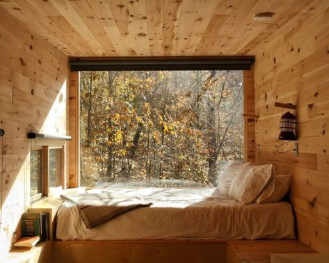 Eco Cabin, Chattahoochee National Forest, Fall Getaways, Tiny Cabins, Getaway Cabins, Tiny Cabin, Modern Cabin, Cabin Rentals, Ceiling Windows