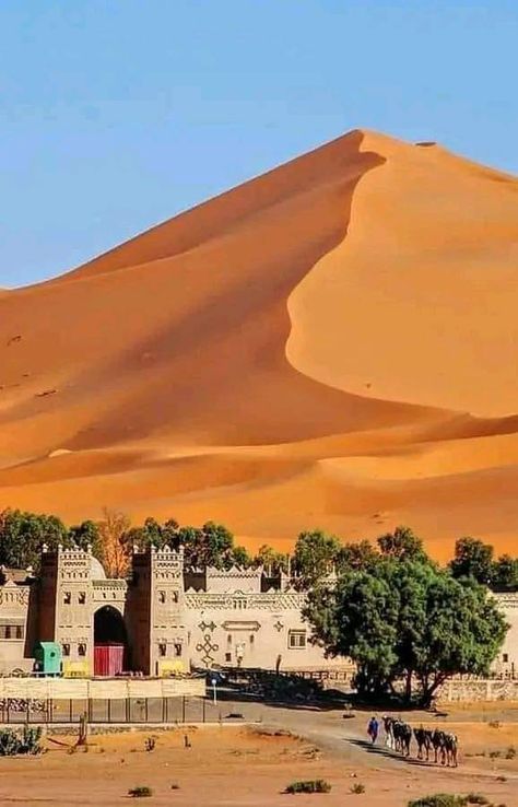 Morocco Travel and Tours | Beautiful weekend 😍 Morocco Hotel, Architecture Photography Buildings, Morocco Itinerary, Morocco Tours, Earth Globe, Morocco Travel, Sahara Desert, Casablanca, The Desert