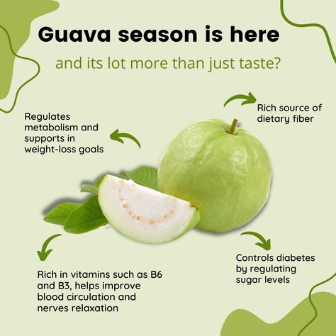 Season for your favorite is here again :) BUT DO YOU KNOW?!? #Guavas are high in vitamins A and C, thiamine, and riboflavin. The rind contains anywhere from 2 to 4 times more vitamin C than a citrus fruit. Moreover guava also helps in regulating metabolism which leads to weight loss. Order Farm-fresh Guavas from Falhari now. 50% FLAT Off this week (order link in bio) #freshfruit #seasonal #metabolism #antidiabetes #guava #healthy #vitamins #citrus Benefits Of Guava Fruit, Guava Benefits, Lemon Water Recipe, Fruit Facts, Vitamin C Foods, Healthy Vitamins, Fruit Health, Guava Fruit, Fruit Health Benefits