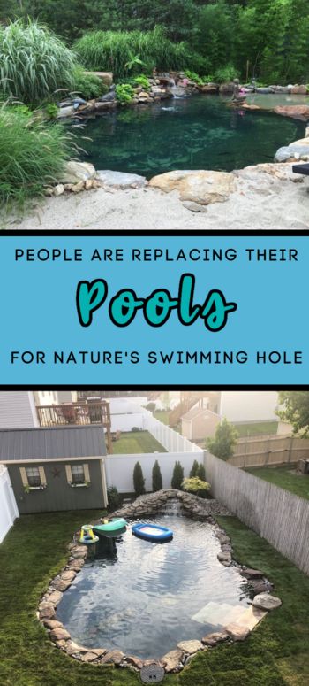 All Natural Swimming Pool, Small Natural Pool Ideas, Big Ponds Backyard, Pond Pools Backyard Diy, Turn Pool Into Pond, Swimming Hole Pool, Natural Pond Pool Backyards, Natural Pools Backyard Swimming Ponds Diy, Diy Salt Water Pool