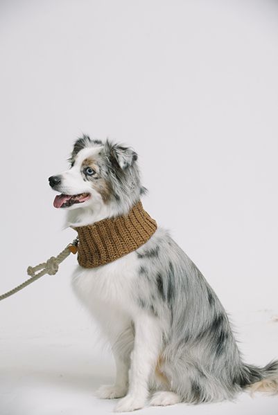 The Dog Collection: 5 Insanely-Cute Dog Patterns – I Like Crochet Crochet Dog Cowl Free Pattern, Dog Neck Warmer, Adventure Dog, Dog Patterns, Dog Sounds, Crochet Cowl Pattern, Dog Adventure, Dog Hacks, Fluffy Dogs